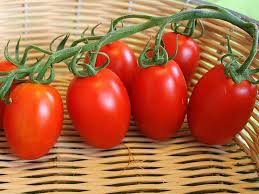 POMODORO RIO GRANDE NR.200 SEMI